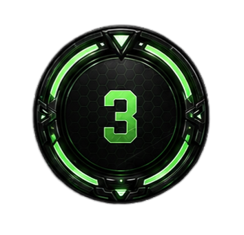 Level 3