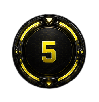 Level 5