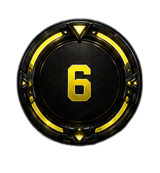 Level 6